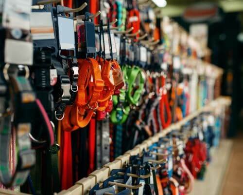 accesorios-para-gatos-por-mayor_4716.jpg