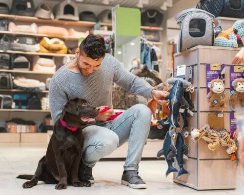 productos-para-perros-1_8159.jpg