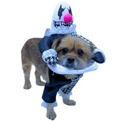 disfraz_mascota-6482.jpg