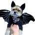disfraz_murcielago_para_mascotas-1-6256.jpg