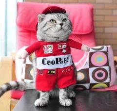 Disfraz Formula 1 Para Mascotas